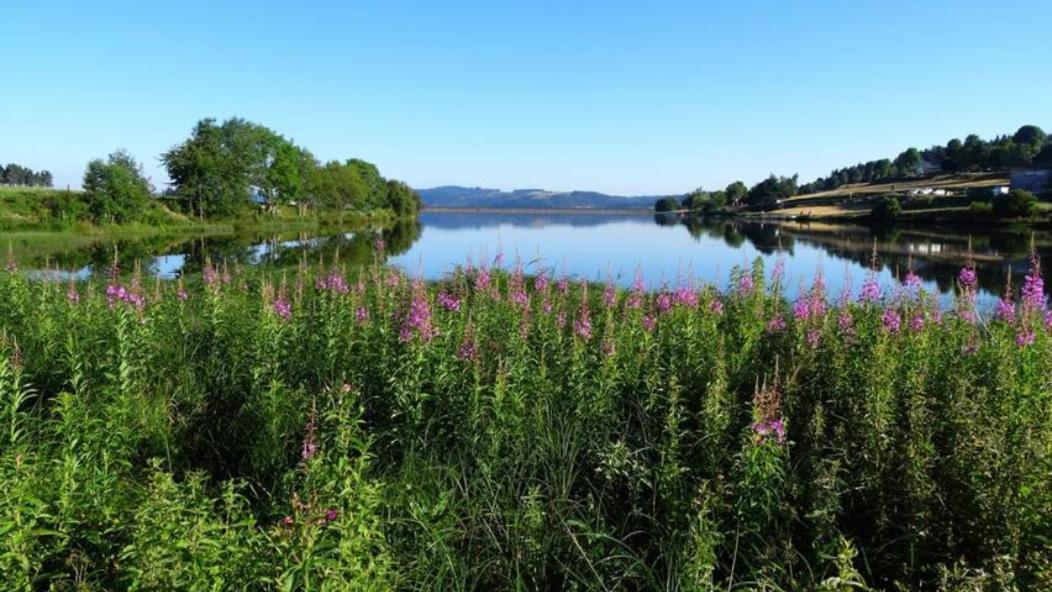 Lozere Aubrac Margeride Promo Lägenhet Saint-Alban-sur-Limagnole Exteriör bild