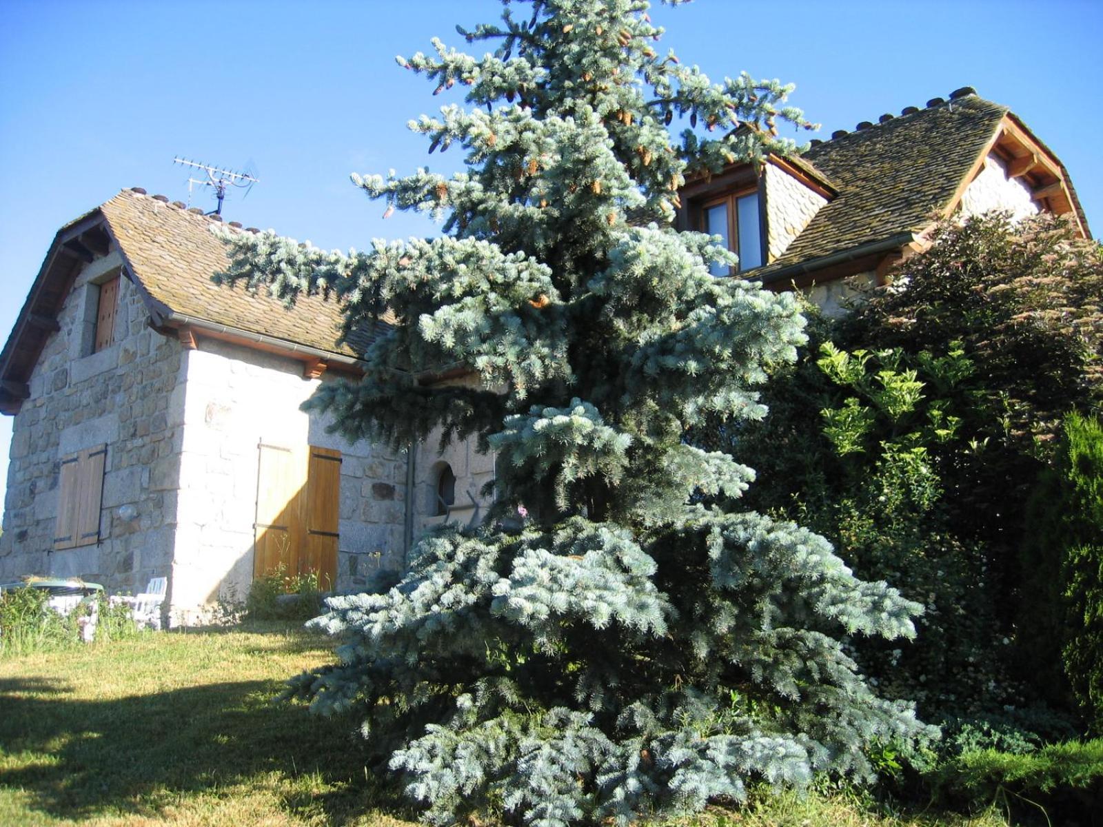 Lozere Aubrac Margeride Promo Lägenhet Saint-Alban-sur-Limagnole Exteriör bild