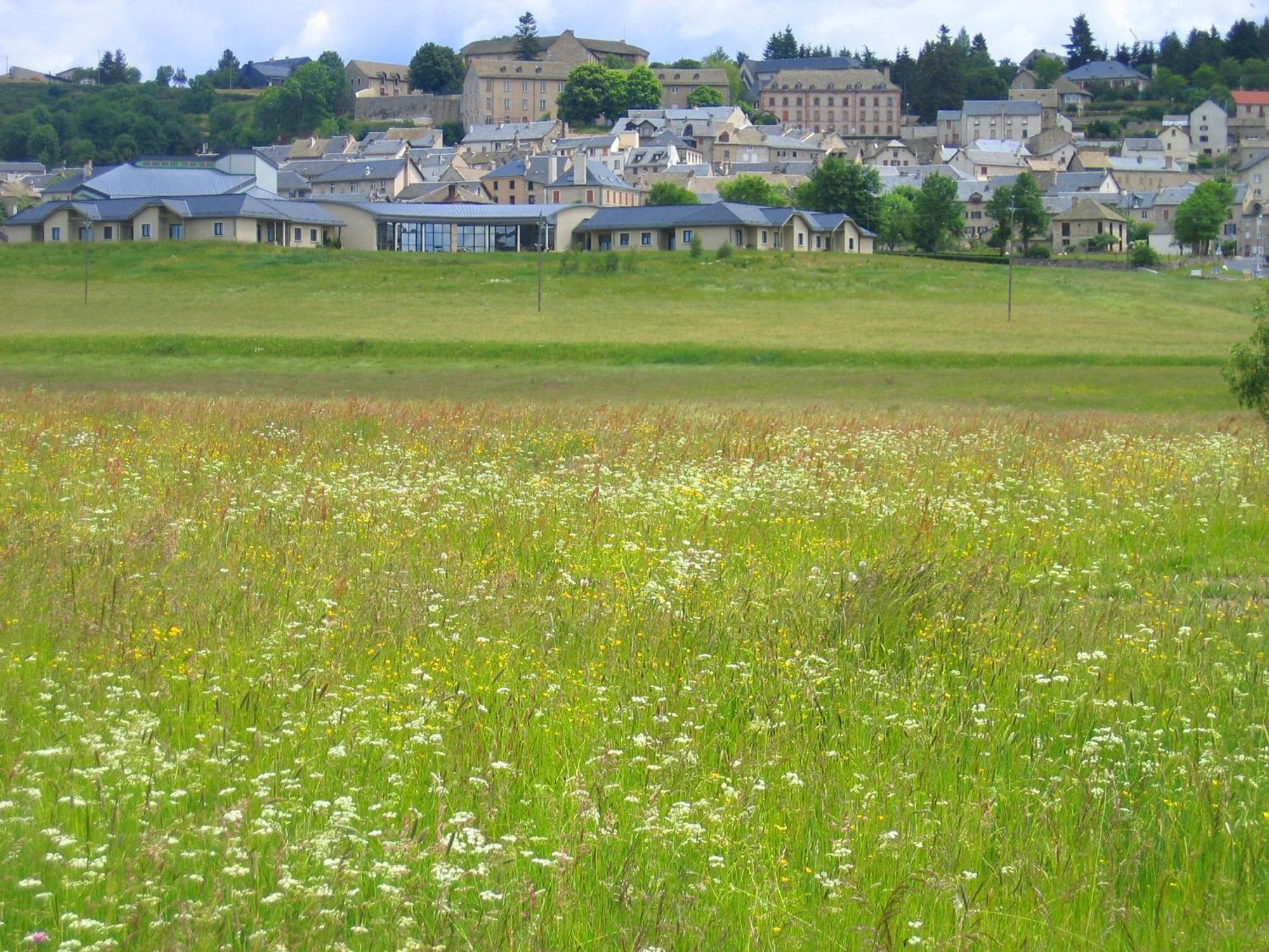 Lozere Aubrac Margeride Promo Lägenhet Saint-Alban-sur-Limagnole Exteriör bild